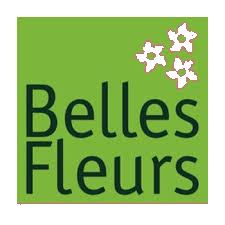 bellesfleurs